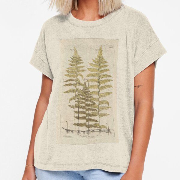 Vintage Fern Botanical