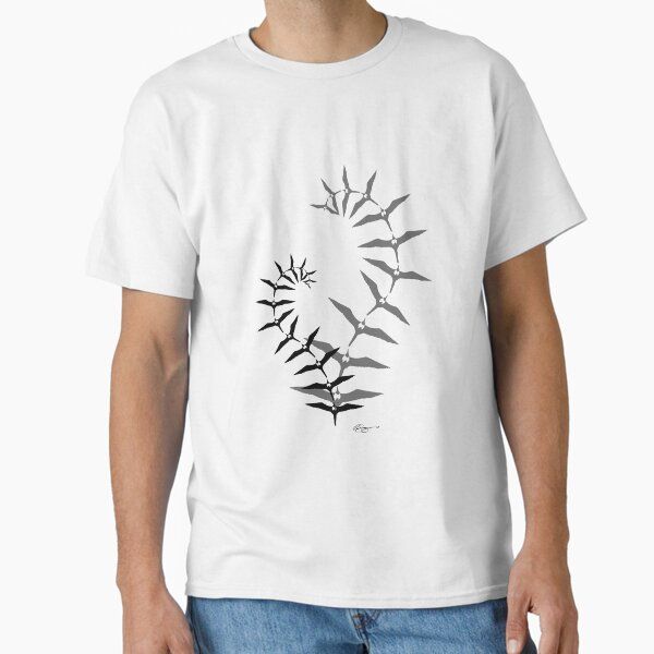 `Iwa Ferns