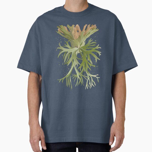staghorn fern illustration - platycerium willinckii