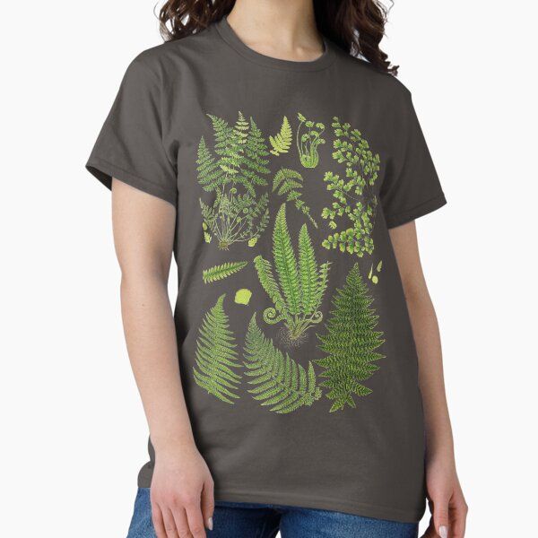 Fern Chart study